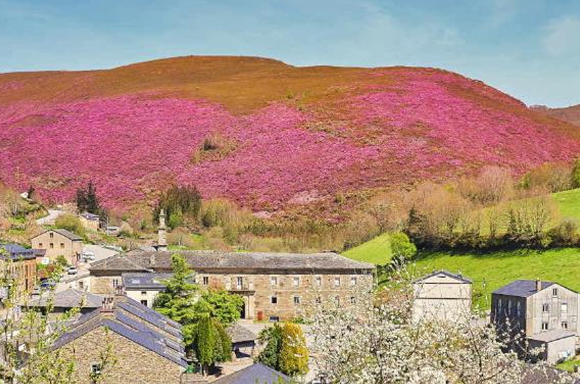 Actividades para amantes de la naturaleza en Vegadeo y alrededores